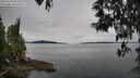 ./images/koeye/fitz-hugh/20250510/fitz-hugh20250510_093510M.jpg
