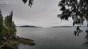./images/koeye/fitz-hugh/20250510/fitz-hugh20250510_094011M.jpg