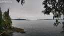 ./images/koeye/fitz-hugh/20250510/fitz-hugh20250510_095010M.jpg