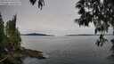 ./images/koeye/fitz-hugh/20250510/fitz-hugh20250510_095509M.jpg