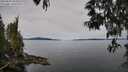 ./images/koeye/fitz-hugh/20250510/fitz-hugh20250510_103510M.jpg