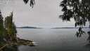 ./images/koeye/fitz-hugh/20250510/fitz-hugh20250510_104009M.jpg