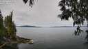 ./images/koeye/fitz-hugh/20250510/fitz-hugh20250510_104511M.jpg