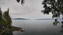 ./images/koeye/fitz-hugh/20250510/fitz-hugh20250510_105010M.jpg