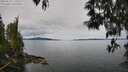 ./images/koeye/fitz-hugh/20250510/fitz-hugh20250510_110509M.jpg