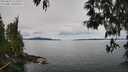 ./images/koeye/fitz-hugh/20250510/fitz-hugh20250510_112509M.jpg