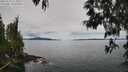 ./images/koeye/fitz-hugh/20250510/fitz-hugh20250510_113010M.jpg