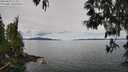 ./images/koeye/fitz-hugh/20250510/fitz-hugh20250510_113510M.jpg
