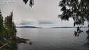 ./images/koeye/fitz-hugh/20250510/fitz-hugh20250510_114511M.jpg