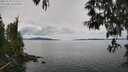 ./images/koeye/fitz-hugh/20250510/fitz-hugh20250510_121511M.jpg