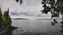 ./images/koeye/fitz-hugh/20250510/fitz-hugh20250510_124511M.jpg