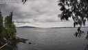 ./images/koeye/fitz-hugh/20250510/fitz-hugh20250510_134010M.jpg