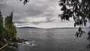 ./images/koeye/fitz-hugh/20250510/fitz-hugh20250510_134510M.jpg