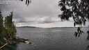 ./images/koeye/fitz-hugh/20250510/fitz-hugh20250510_135010M.jpg