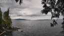 ./images/koeye/fitz-hugh/20250510/fitz-hugh20250510_140011M.jpg