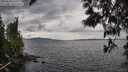 ./images/koeye/fitz-hugh/20250510/fitz-hugh20250510_141010M.jpg
