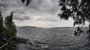 ./images/koeye/fitz-hugh/20250510/fitz-hugh20250510_143510M.jpg