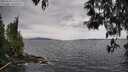 ./images/koeye/fitz-hugh/20250510/fitz-hugh20250510_144510M.jpg