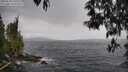 ./images/koeye/fitz-hugh/20250510/fitz-hugh20250510_145510M.jpg