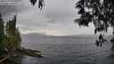 ./images/koeye/fitz-hugh/20250510/fitz-hugh20250510_152508M.jpg