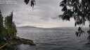 ./images/koeye/fitz-hugh/20250510/fitz-hugh20250510_153508M.jpg