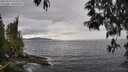 ./images/koeye/fitz-hugh/20250510/fitz-hugh20250510_155010M.jpg
