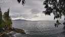 ./images/koeye/fitz-hugh/20250510/fitz-hugh20250510_155510M.jpg