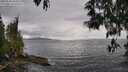 ./images/koeye/fitz-hugh/20250510/fitz-hugh20250510_161010M.jpg