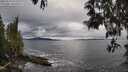 ./images/koeye/fitz-hugh/20250510/fitz-hugh20250510_163510M.jpg