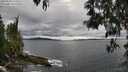 ./images/koeye/fitz-hugh/20250510/fitz-hugh20250510_165011M.jpg