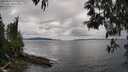 ./images/koeye/fitz-hugh/20250510/fitz-hugh20250510_171010M.jpg