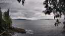 ./images/koeye/fitz-hugh/20250510/fitz-hugh20250510_172509M.jpg