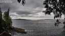 ./images/koeye/fitz-hugh/20250510/fitz-hugh20250510_174009M.jpg