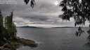./images/koeye/fitz-hugh/20250510/fitz-hugh20250510_174511M.jpg