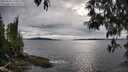 ./images/koeye/fitz-hugh/20250510/fitz-hugh20250510_175011M.jpg