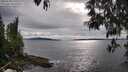 ./images/koeye/fitz-hugh/20250510/fitz-hugh20250510_175510M.jpg