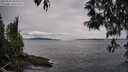 ./images/koeye/fitz-hugh/20250510/fitz-hugh20250510_180510M.jpg