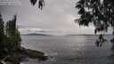 ./images/koeye/fitz-hugh/20250510/fitz-hugh20250510_181009M.jpg
