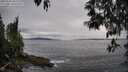 ./images/koeye/fitz-hugh/20250510/fitz-hugh20250510_181510M.jpg