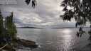 ./images/koeye/fitz-hugh/20250510/fitz-hugh20250510_183510M.jpg