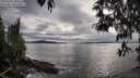 ./images/koeye/fitz-hugh/20250510/fitz-hugh20250510_184010M.jpg