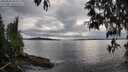 ./images/koeye/fitz-hugh/20250510/fitz-hugh20250510_184511M.jpg