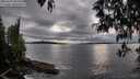 ./images/koeye/fitz-hugh/20250510/fitz-hugh20250510_185009M.jpg