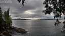 ./images/koeye/fitz-hugh/20250510/fitz-hugh20250510_185510M.jpg