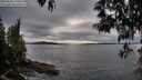 ./images/koeye/fitz-hugh/20250510/fitz-hugh20250510_190009M.jpg
