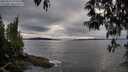 ./images/koeye/fitz-hugh/20250510/fitz-hugh20250510_191008M.jpg