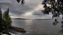 ./images/koeye/fitz-hugh/20250510/fitz-hugh20250510_191508M.jpg