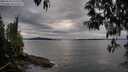 ./images/koeye/fitz-hugh/20250510/fitz-hugh20250510_192508M.jpg