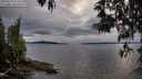./images/koeye/fitz-hugh/20250510/fitz-hugh20250510_194506M.jpg