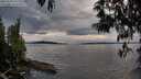 ./images/koeye/fitz-hugh/20250510/fitz-hugh20250510_195508M.jpg